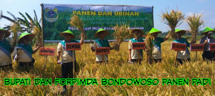 Amin: Pertanian Adalah Masa Depan Masyarakat Bondowoso.