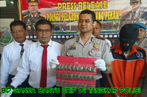 Pengedar Ganja Asal Banyu Urip Wetan di Tangkap.