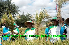 Beras Organik Bondowoso di Tunggu Pasar Internasional