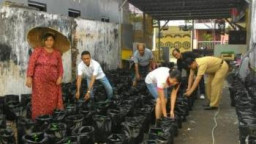 Bersama Warga RT 07 RW 03  Lurah Kupang Krajan Tanam Bibit Lombok 