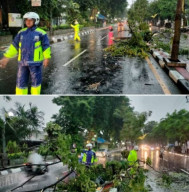 Respon Cepat Satlantas Polres Gresik Bantu Evakuasi Pohon Tumbang demi kelancaran Lalu Lintas