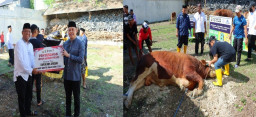Tradisi Kebahagiaan Idul Adha, Kapolres Gresik Bagikan 86 Hewan Kurban