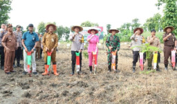 Dukung Swasembada Pangan Nasional, Polres Gresik Tanam Jagung di Lahan Seluas Dua Hektar