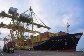 Arus Petikemas TPS pada Bulan Februari Meningkat Naik 3,82%