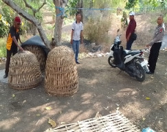 Resahkan Warga, Arena Sabung Ayam di Menganti Digerebek Polisi-Amankan Barang Bukti
