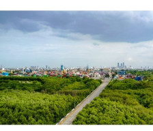 TPS Perluas Ruang Terbuka Hijau, Perkuat Ekosistem Pelabuhan yang Berkelanjutan