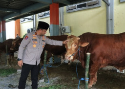 Polres Gresik Salurkan Hewan Qurban Iduladha 2026, Wujud Kepedulian dan Kebersamaan