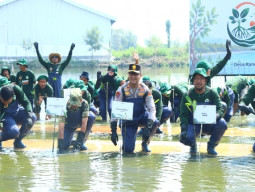 10.000 Mangrove Ditanam di Randuboto, Gresik Perkuat Benteng Pesisir Hadapi Perubahan Iklim