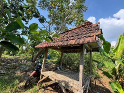 Diduga Manfaatkan Korban Depresi, Warga Ujung Pangkah Ditahan dalam Kasus Kekerasan Seksual