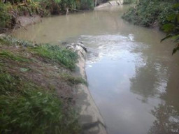Warga RT. 03, RW 03 Balongsari Resah, Kampungnya Baniir Akibat Plengsengan Sungai Jebol.