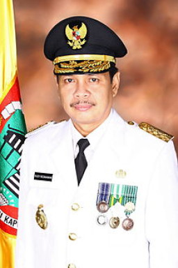 Wakil Gubernur Kalsel, Hadiri Hari Jadi Tanah Bumbu ke 16
