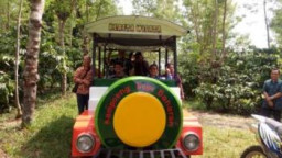 Pemkab Bondowoso Segera Bentuk Kampong Kopi Agrowisata.