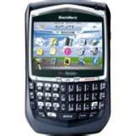Embat Black Bery di Vonis 2 Bulan