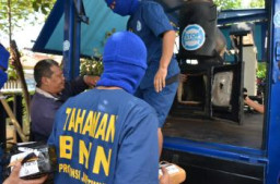  BNNP Minta 4 Tersangka Musnakan Ganja