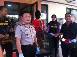Akhmad Musjaki, Pencuri Burung Jalak Uret Ditangkap Polisi