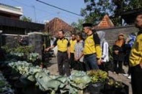 PSN dan Walikota Tinjau KRPL