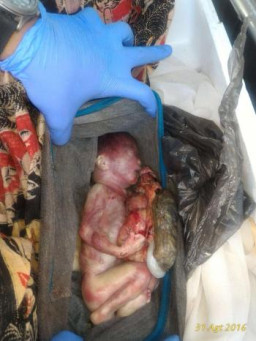 Ibu Durhaka, Buang Bayi Dalam Kardus di TPA Benowo 