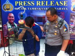 Curi Burung Love Bird, Kenedy Tri Aries Ditangkap Petugas Polsek Tambaksari Surabaya.