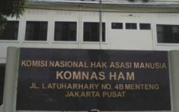 Eksekusi Cinderella, Komnas HAM "Main Mata" 