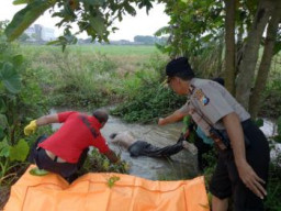 Ditemukan Sesosok Mayat Laki-Laki mengambang di Sungai.