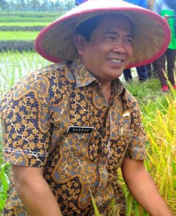 Dinas Pertanian Akan Optimalkan Program Pertanian Organik