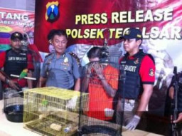 Terekam CCTV, Imron Fauzi Pencuri Burung Tetangga di Tahan Polisi