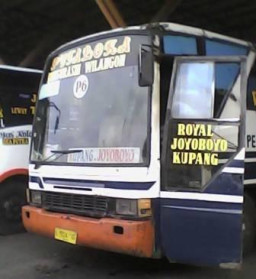 Bus Patas 6 Banyak Yang Tidak Layak Operasi, Tarif nya Juga Salahi Prosedur