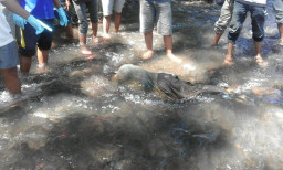 Miseno Ditemukan tewas di Sungai Kali Bagong.