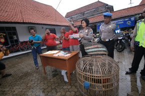 Judi Sabung Ayam Dekat Stasiun Pasar Turi di Grebek.