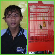 Kepergok Curi Burung Cucak Ijo, Arek Jetis