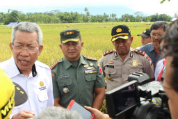 Wakapolres Malang Hadiri Panen Raya di Curungrejo Kec. Kepanjen.