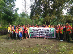 Reboisasi Tanam 2000 Bibit Sengon Laut, di RPH Blawan BKPH Sukosari Petak 85.