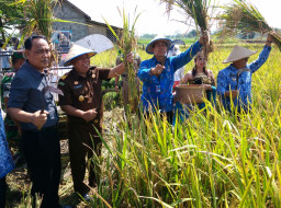 Bupati Blitar Hadiri Panen Raya di Desa Sragi