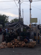 Jelang Lebaran Ketupat, Harga Kelapa di Pasuruan Meroket.