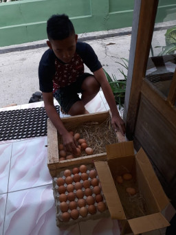 Pasca Lebaran, Telor Ayam di Pasuruan Harganya Melambung.