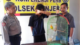 Curi Burung Love Bird, Pria Ini di Gelandang Warga ke Mapolsek Kenjeran.