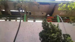 Gudang Aula SMPN 21 Terbakar, Api Merambat Hingga Lantai 2.