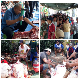 PN Surabaya Bagikan 2500 Kupon, Pengambilan Daging Qurban.