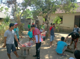 Dinas Ketahanan Pangan dan Pertanian Periksa Hewan, Agar Terhindar Dari Inveksi Cacing Hati.