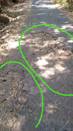 LSM Berdikari Ajak Warga Awasi Pemdes, Belum Setahun Jalan Patemon Pakem Rusak.