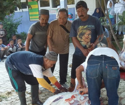 H Plus 3 Idul Adha, SDN I Bataan Sembelih Hewan Qurban.