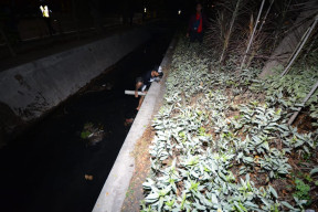 Takut Razia, Pemuda ini Lari dan Lompat ke Sungai.
