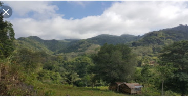 Petung Penuh Pesona, Dusun Diatas Awan Penghasil Madu.