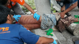 Walau Sakit Nekat Bekerja, Supriadi Akhirnya Tewas di Tempat Kerjanya.