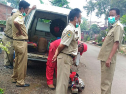Puluhan Warga Bukor Kecamatan Wringin, Terserang Demam Berdarah