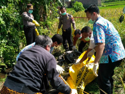 Ditemukan Mayat Laki-Laki Bersimbah Darah, di Tengah Sawah Milik Sunaryo.