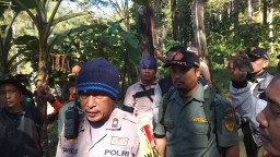 Jasad Thoriq Nyangkut di Pohon, Tim Sedang Evakuasi.