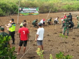 Kodim 0819 Pasuruan Tanam 500 Pohon di Taman Hutan Mangrov, Desa Penunggul Kecamatan Nguling Pasururan.