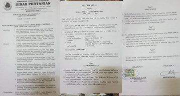 Meski Sudah Mengundurkan Diri Sebagai Tenaga Kontrak, Jack Centre Tetap Melaporkan Ajudan Bupati Ke Polisi.