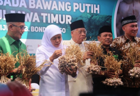 Gubernur Khofifah Ingin Jatim, Swasembada Bawang Putih.